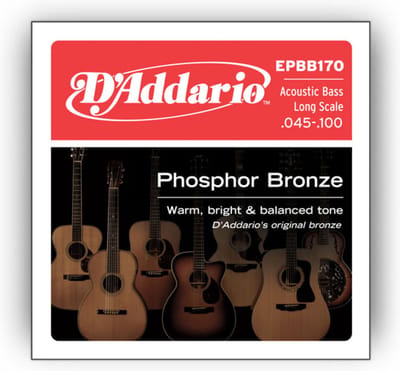 D'Addario EPBB170 Akoestische Bassnaren (45-100)