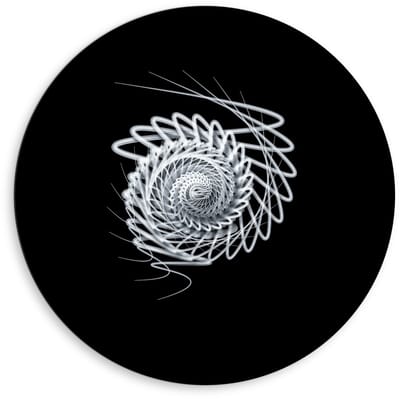 Dibond Wandcirkel - Witte Schelp constructie  - 80x80cm Foto op Aluminium Wandcirkel (met ophangsysteem)