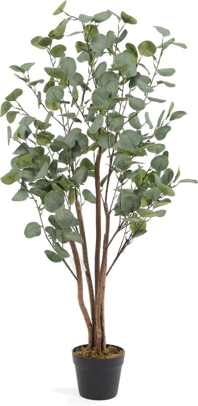 Kunst Eucalyptus Koala – 120 cm – Mat Groen – Met Houten Stammen – In Pot - Eucalyptus Kunst Kamerplant
