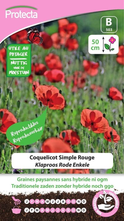 Protecta Bloemen zaden: Klaproos Rode Enkele | Papaver