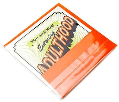Plastic zakken 12x12 cm Transparant en Hersluitbaar (100 stuks) | Plastic zak