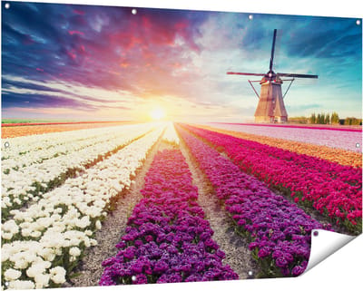 Gards Tuinposter Kleurrijke Tulpen Bloemenveld - Windmolen - 150x100 cm - Tuindoek - Tuindecoratie - Wanddecoratie buiten - Tuinschilderij