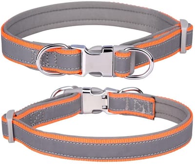 Dailygoody - Reflecterende halsband - Verstelbare hondenhalsband - Zacht neopreen - Oranje - Veiligheidsgesp - Geschikt voor kleine en grote honden