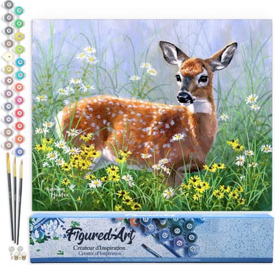 Figured'Art Schilderen op Nummer Volwassenen canvas Hert in de weide - Handwerk acrylverf Kit DIY Compleet - 40x50cm zonder frame