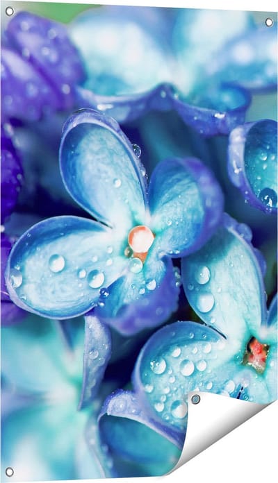 Gards Tuinposter Blauwe Lila Bloemen - Seringen - 60x90 cm - Tuindoek - Tuindecoratie - Wanddecoratie buiten - Tuinschilderij