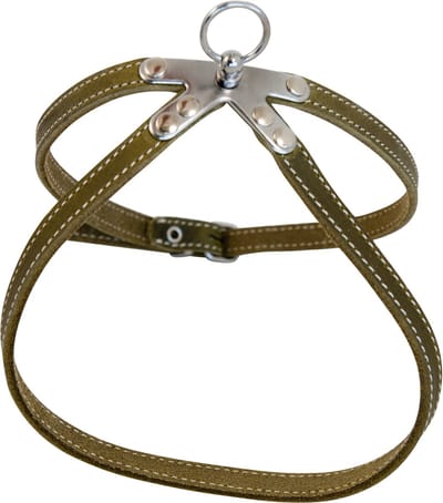 Jack And Vanilla - Tuigen - Jv Vetleder Springtuigje Groen-10mmx40cm 47/0020 - 228626