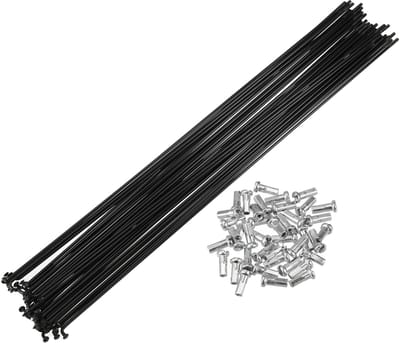 Dailygoods- Spaken 40 Stuks - Stalen Spaken - Motorfietsspaken - 300 mm Lengte - Schokbestendig - Duurzaam Materiaal - Fietsvelgspaken