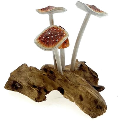 Paddenstoelen Pia van hout
