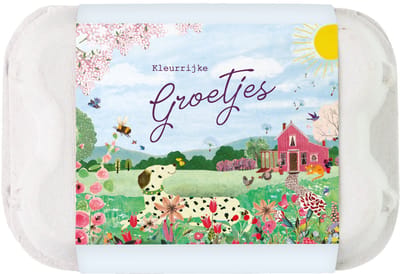 Blossombs Bloembommetjes Eierdoosje - 6 Zaadbommetjes - Kleurrijke Groetjes