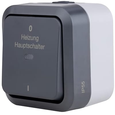 Hoofdschakelaar voor vochtige ruimtes IP55, tweepolig, opbouw, 230 V, 10 A, antraciet