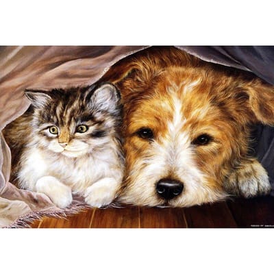 Home Decor DIY 5D Diamantborduurwerk Kat en Hond Kruissteekset Hobby Craft 20X30CM beige