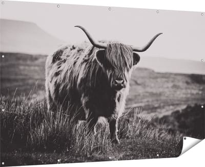 Gards Tuinposter Schotse Hooglander Koe - Zwart Wit - 180x120 cm - Tuindoek - Tuindecoratie - Wanddecoratie buiten - Tuinschilderij