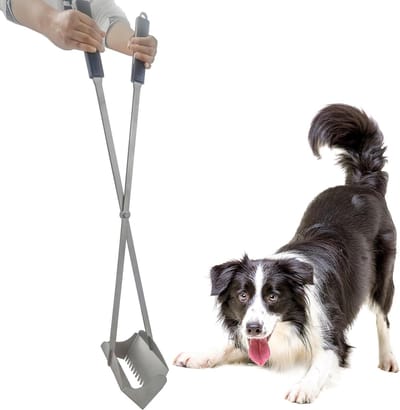 Poepschep Lange Steel - Honden Poep Schep - Tuin Schoonmaken - Roestvrij Staal - 96.5 cm - Zilver