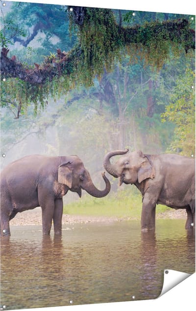 Gards Tuinposter Twee Olifanten in het Water - 120x160 cm - Tuindoek - Tuindecoratie - Wanddecoratie buiten - Tuinschilderij