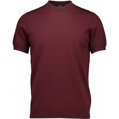 Vaganza T-shirt T-shirts Bordeaux Tv-4005