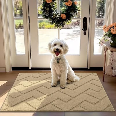 La'Moussawi ® Innovatieve Antislip Deurmat voor Binnen en Buiten in Beige, 80 x 120 cm