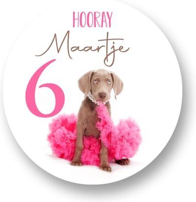25x Traktatie Stickers Met Naam en Leeftijd -Cute Dog - Gepersonaliseerd - Sluitstickers - Kinderfeest Traktatie - Uitdelen - Uitdeeltraktatie - Traktatiestickers Pimp Studio