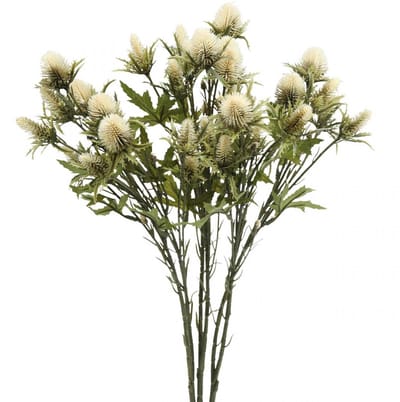 Distel kunsttak creme 10 bloemhoofdjes 68cm 3st, 3 Stück