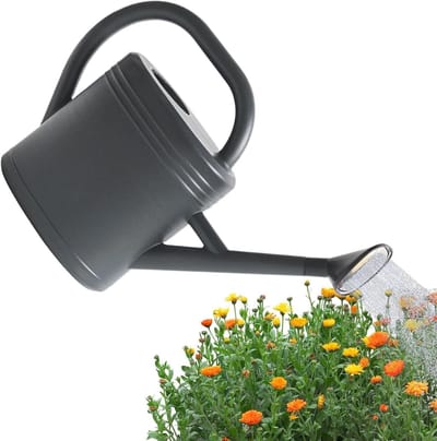 Gieter Planten - Waterkan - Planten Verzorgen - Afneembare Tuit - 3 Liter - Grijs
