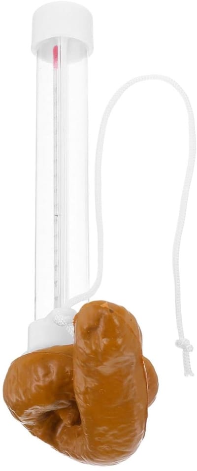 Drijvende Zwembadthermometer - Watermeter Grappig - Zwembad Temperatuur - Gemakkelijk Te Lezen - 19.5cm Lengte - Koffie