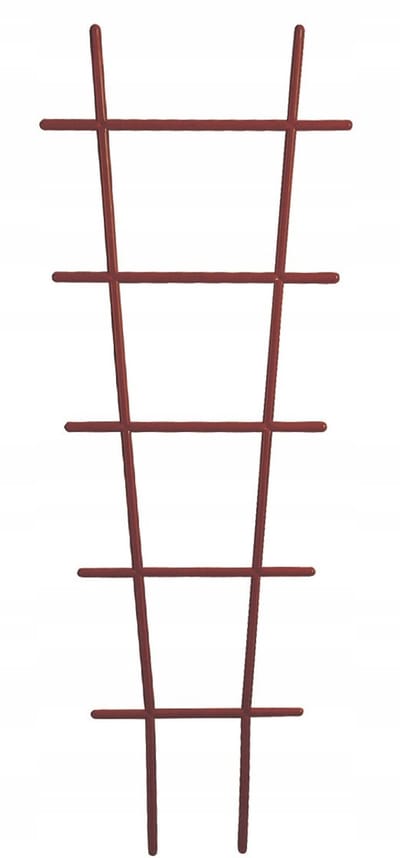 Prosperplast IDR2 - Plantensteun - Bruin - 18x50cm - Kunststof