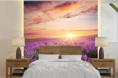 Behang - Fotobehang Lavendel - Zon - Bloemen - Breedte 240 cm x hoogte 240 cm