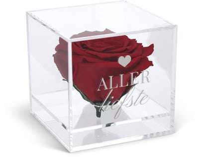 Longlife Roos in Glas - "Allerliefste" - Echte Roos - Romantisch Cadeau