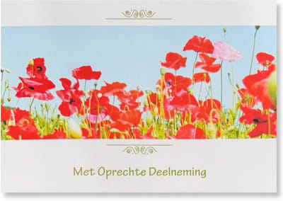 Cards & Crafts Condoleancekaart - Met Oprechte Deelneming Wenskaart - 12 x 17 cm - gevouwen kaart Inclusief envelop