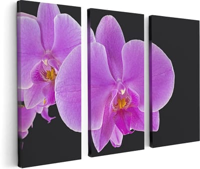 Artaza Canvas Schilderij Drieluik Licht Paarse Orchidee - Bloem - 120x80 - Foto Op Canvas - Canvas Print