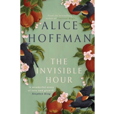 The Invisible Hour - Alice Hoffman