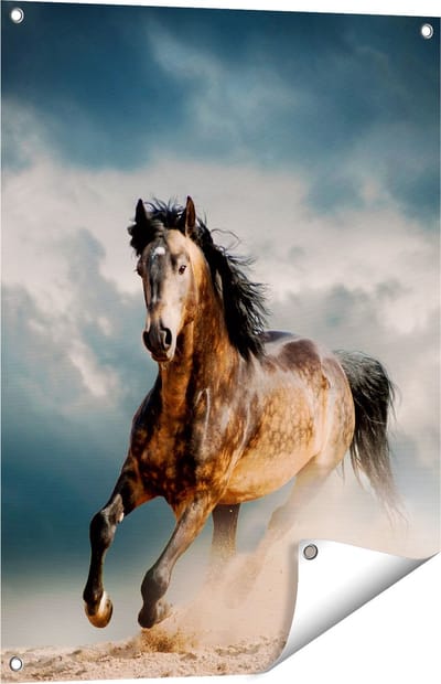 Gards Tuinposter Wilde Paard in het Zand - 60x80 cm - Tuindoek - Tuindecoratie - Wanddecoratie buiten - Tuinschilderij