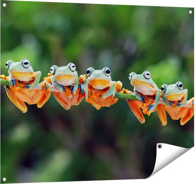 Gards Tuinposter Groep Kikkers op een Tak - 100x80 cm - Tuindoek - Tuindecoratie - Wanddecoratie buiten - Tuinschilderij