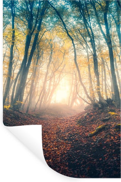 Muurstickers - Sticker Folie - Bos - Mist - Zon - Herfst - 20x30 cm - Plakfolie - Muurstickers Kinderkamer - Zelfklevend Behang - Zelfklevend behangpapier - Stickerfolie