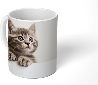 Mok - Koffiemok - Poes - Grijs - Dieren - Mokken - 350 ML - Beker - Koffiemokken - Theemok