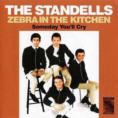7-zebra In The Kitchen