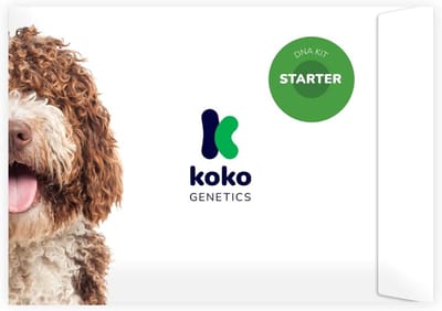 DNA Test voor Hond: Rassen, Eigenschappen en Stamboom Analyse