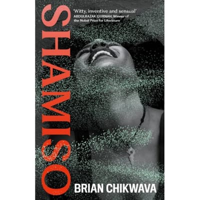 Shamiso - Brian Chikwava