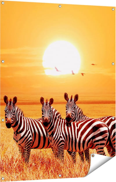 Gards Tuinposter Drie Zebra's bij Zonsondergang - 90x120 cm - Tuindoek - Tuindecoratie - Wanddecoratie buiten - Tuinschilderij