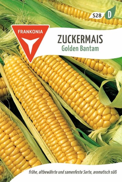 Suikermaïs, Golden Bantam - Groentezaden