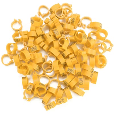 Sac de 100 pièces 8MM 001 100 Numérotés Plastique Lettre Pigeon Oiseau Bague de Patte Type 1