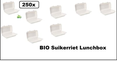 250x Lunch box wit next generation - Suikerriet composteerbare afbreekbaar hamburger brood patat loempia bak food eten milieu
