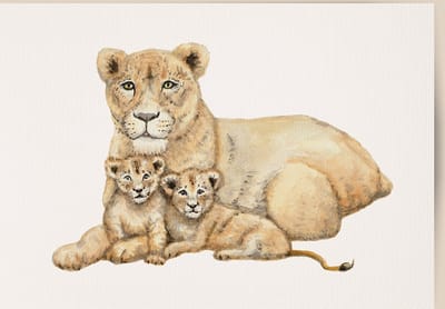 World of Mies poster leeuwin - A4 - mooi dik papier - Snel verzonden! - tropisch - jungle - dieren in aquarel - geschilderd door Mies