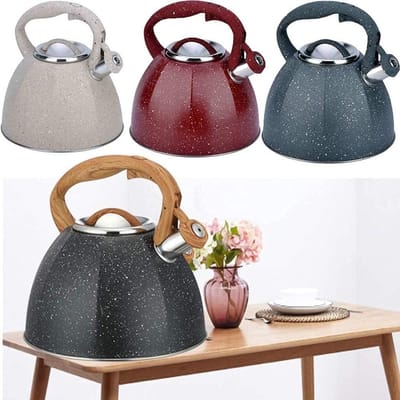 Fluitketel 4 liter - Waterkoker fornuis - Water koken - Roestvrij staal - 4 liter - Grijs