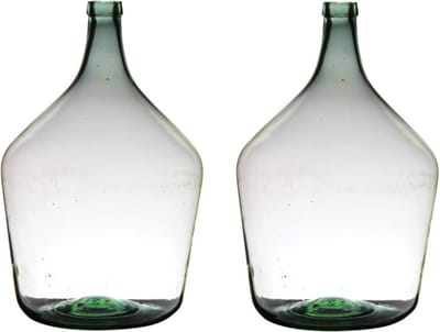 Flesvaas XL - 2x stuks - glas - B29 x H46 cm - Bloemen/takken vaas