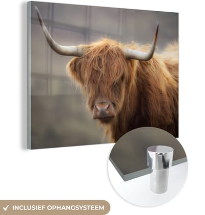 MuchoWow® Glasschilderij 160x120 cm - Schilderij acrylglas - Schotse Hooglander - Hoorns - Haar - Foto op glas - Schilderijen