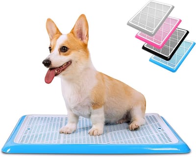 Honden Toiletbak - Trainingsbak voor Puppy's en Kleine Honden | Lekvrij Plasmatje Houder