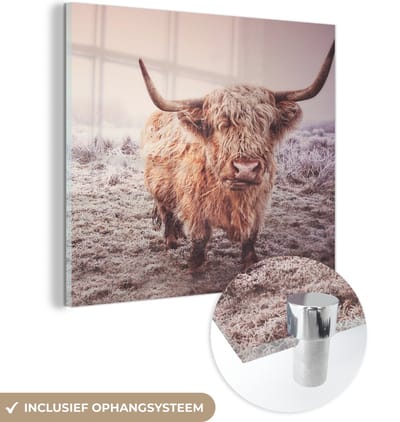 MuchoWow® Glasschilderij 90x90 cm - Schilderij acrylglas - Schotse Hooglander - Winter - Sneeuw - Koe - Weiland - Bruin - Foto op glas - Schilderijen
