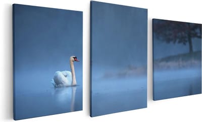 Artaza Canvas Schilderij Drieluik Zwaan op het Water tussen de Mist - 120x60 - Foto Op Canvas - Canvas Print
