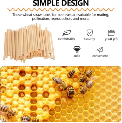 300 stuks nestbuizen, natuurlijk tarwestro, nestbuizen voor wilde bijen, insectenhuis, 14,5 cm natuurlijke rietjes, voor bijen, vlinders en andere insecten