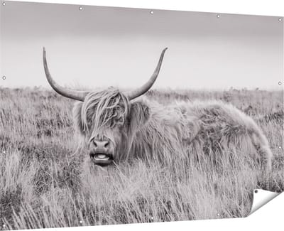 Gards Tuinposter Schotse Hooglander Koe - Zwart Wit - 180x120 cm - Tuindoek - Tuindecoratie - Wanddecoratie buiten - Tuinschilderij